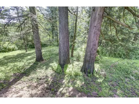 532 NE Curtis Drive Corbett OR 97019