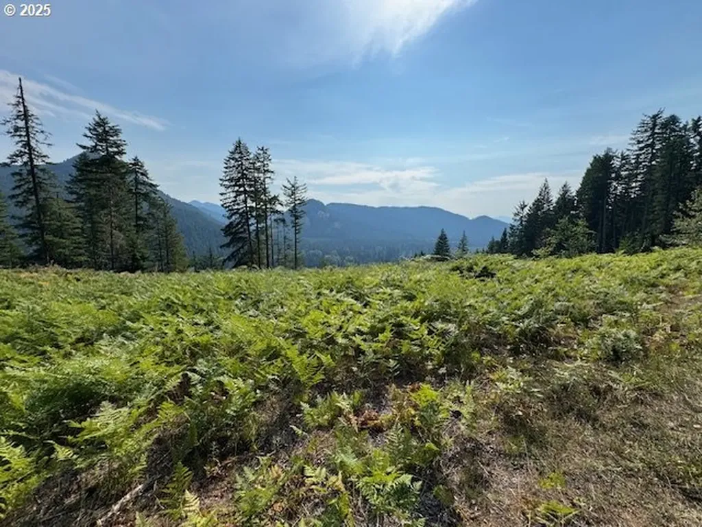 1281 Szydlo Road Carson WA 98610
