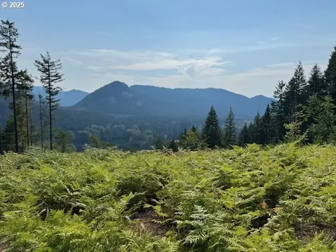 1281 Szydlo Road Carson WA 98610