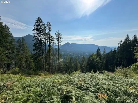 1281 Szydlo Road Carson WA 98610