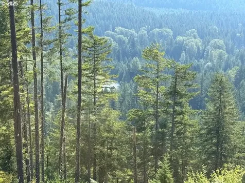 1281 Szydlo Road Carson WA 98610