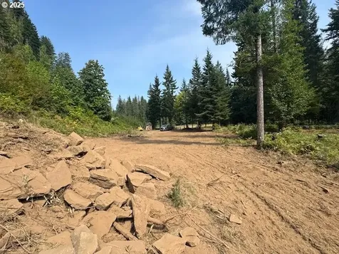 1281 Szydlo Road Carson WA 98610