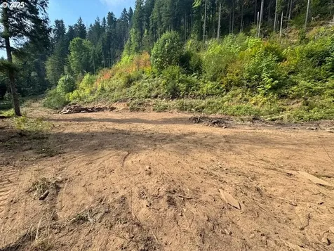1281 Szydlo Road Carson WA 98610