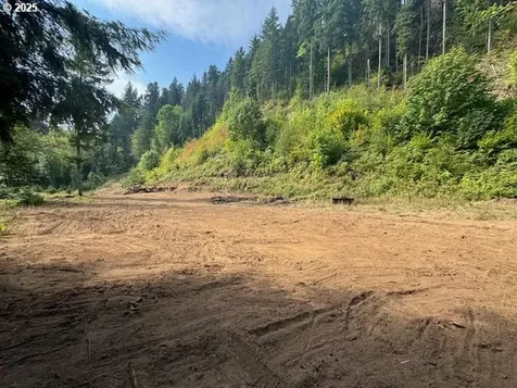 1281 Szydlo Road Carson WA 98610