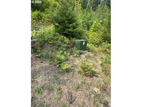 1281 Szydlo Road Carson WA 98610