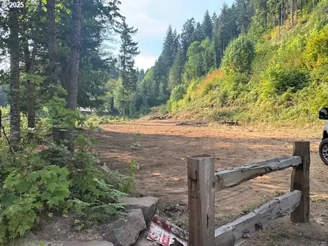 1281 Szydlo Road Carson WA 98610