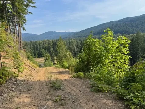 1281 Szydlo Road Carson WA 98610