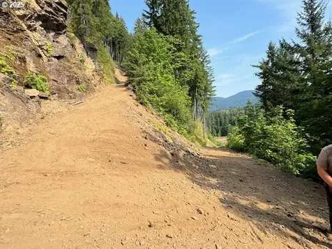1281 Szydlo Road Carson WA 98610