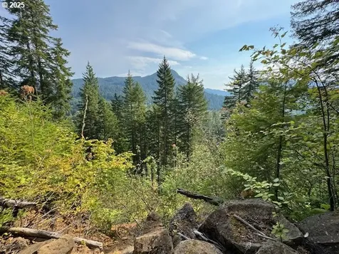 1281 Szydlo Road Carson WA 98610