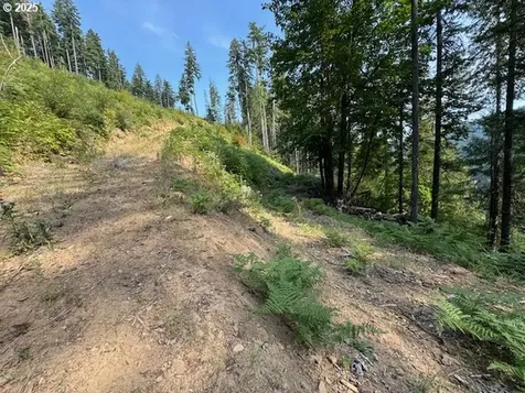 1281 Szydlo Road Carson WA 98610
