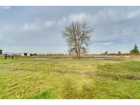 94082 Oaklea Drive Junction City OR 97448