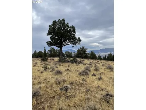 0 Wiley Creek Road Dayville OR 97825