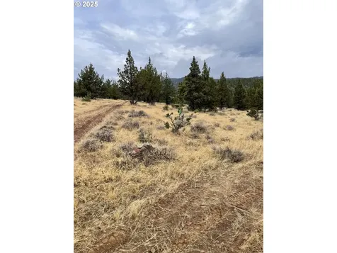 0 Wiley Creek Road Dayville OR 97825