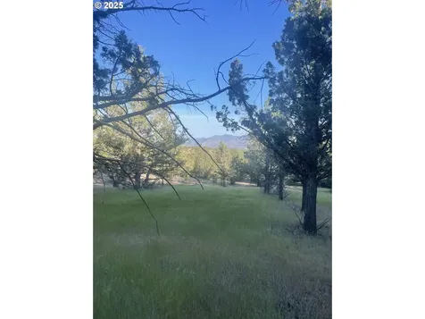 0 Wiley Creek Road Dayville OR 97825