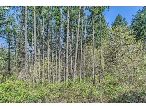 20347 SW Cassandra Lane Beaverton OR 97007