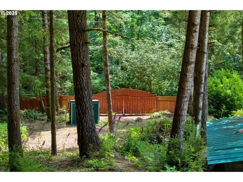 91625 W Fork Road Deadwood OR 97430