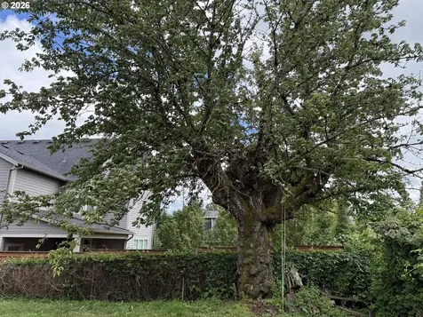 4507 N Gantenbein Avenue Portland OR 97217