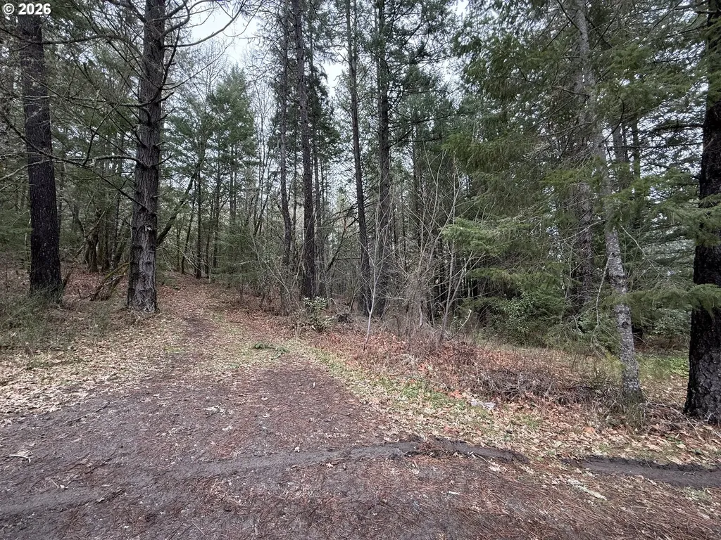 907 Riverbanks Road Grants Pass OR 97527