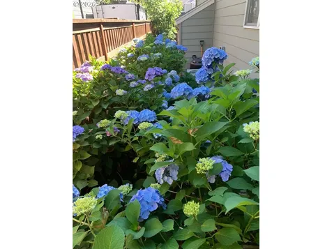 1540 22nd Street Hood River OR 97031