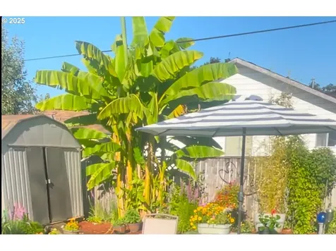 238 S P Street Cottage Grove OR 97424