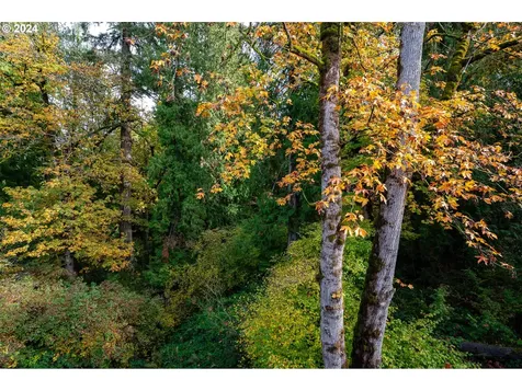13588 SE Jamie Court Clackamas OR 97015
