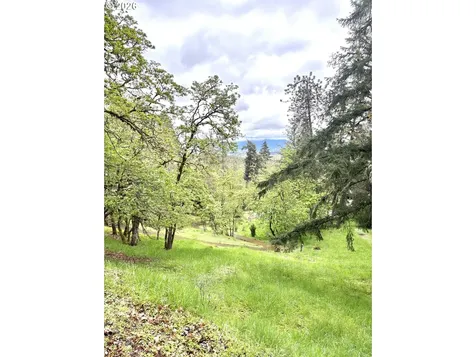 213 Trailside Loop Eugene OR 97405
