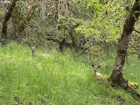 213 Trailside Loop Eugene OR 97405