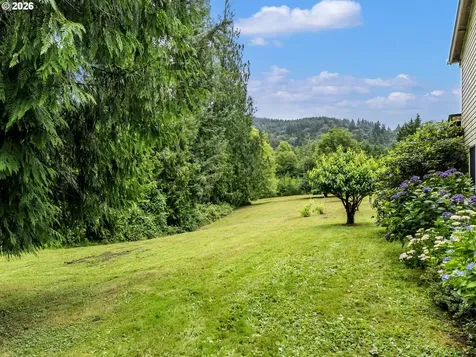 145 Hawk Prairie Drive Woodland WA 98674