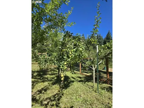 26810 NE 77th Street Vancouver WA 98682