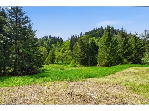 66801 Bishop Creek Road Deer Island OR 97054