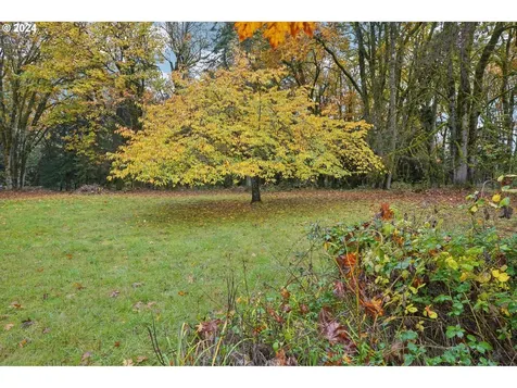 3904 NE Stoughton Road La Center WA 98629