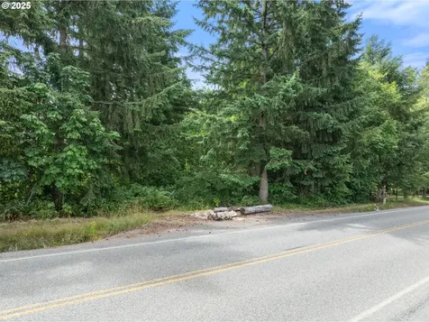 148 Burnt Ridge Road Onalaska WA 98570
