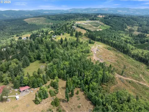 148 Burnt Ridge Road Onalaska WA 98570