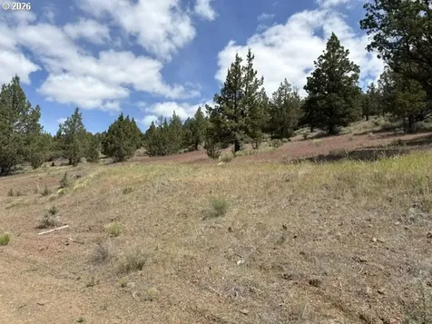 Wiley Creek Road Dayville OR 97825
