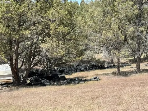 Wiley Creek Road Dayville OR 97825