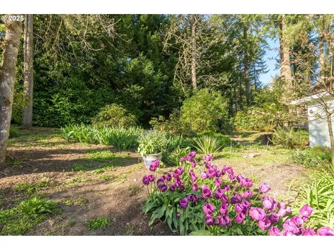 1975 W 34th Avenue Eugene OR 97405