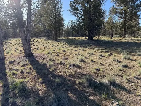 0 Fishhole Creek Road Bly OR 97622