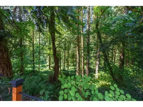 3047 S Cedar Ridge Drive Ridgefield WA 98642