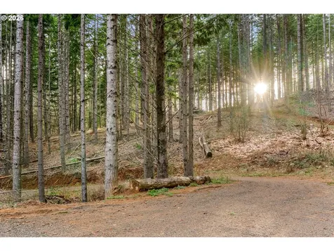 1202 Scoggins Road Underwood WA 98651