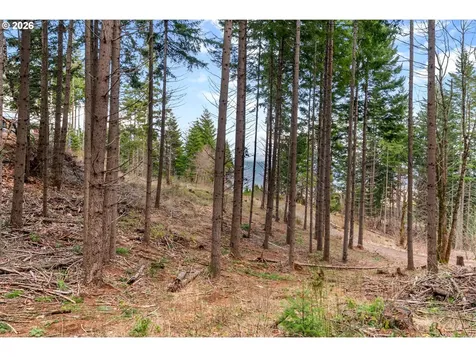 1202 Scoggins Road Underwood WA 98651