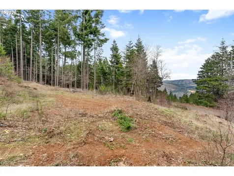 1202 Scoggins Road Underwood WA 98651