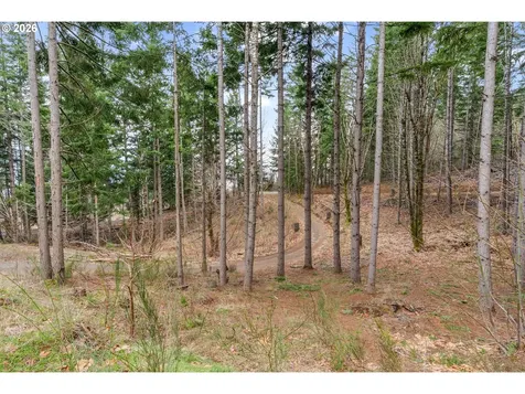1202 Scoggins Road Underwood WA 98651