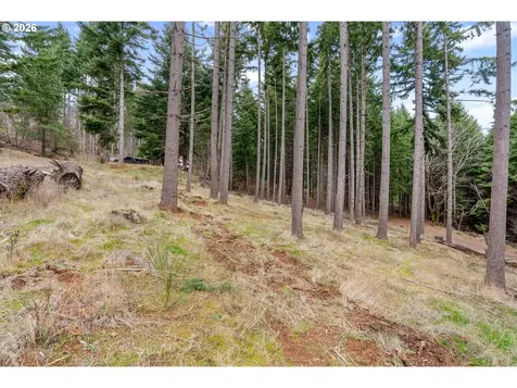 1202 Scoggins Road Underwood WA 98651