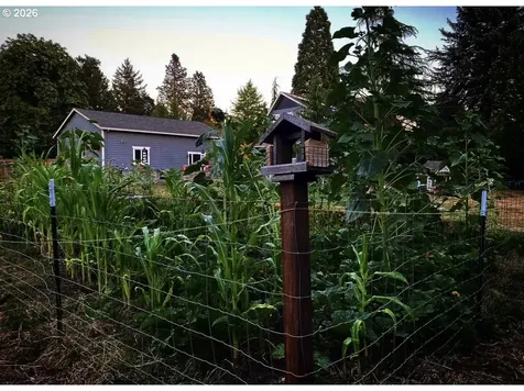 24305 NE Highway 240 Newberg OR 97132