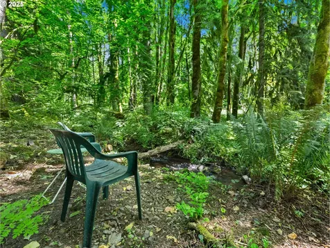 66655 E Barlow Trail Road Rhododendron OR 97049