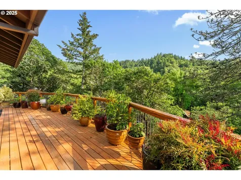 370 Wild Fern Drive Winchester OR 97495