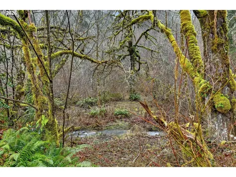 24511 NE W H Garner Road Yacolt WA 98675