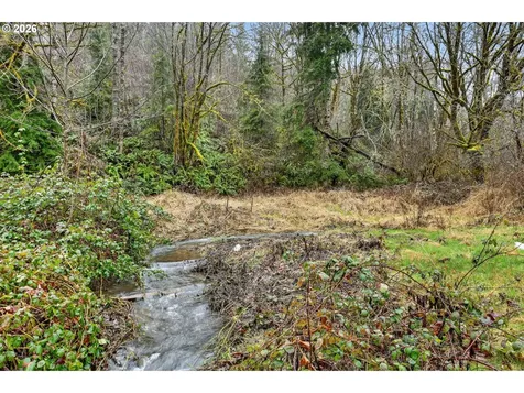 24511 NE W H Garner Road Yacolt WA 98675