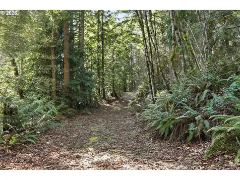 27671 S Ringo Road Mulino OR 97042