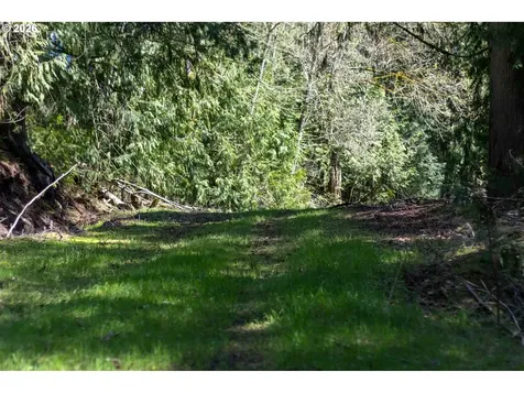 27671 S Ringo Road Mulino OR 97042